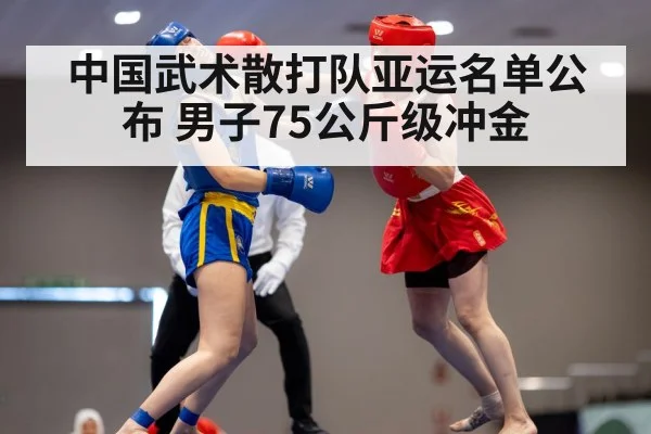 中国武术散打队亚运名单公布 男子75公斤级冲金